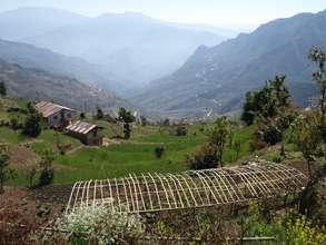 A thriving vegetable garden in Nepal