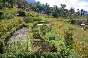 demo garden in Sundrawati VDC