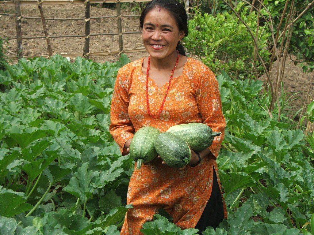 Help 832 women in Nepal start their own businesses