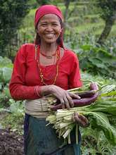 Lead Farmer