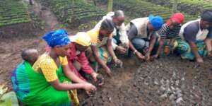 Initiation of women to reforestation work
