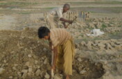 End Child Labor through Education and Awareness in
