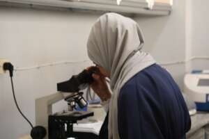 Medical Laboratories 2024