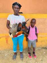 Family receives chickens