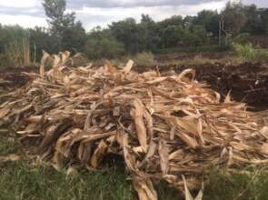 Agricultural waste