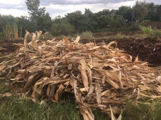 Nourish Tanzania:Fertile Soil, Flourishing Future!