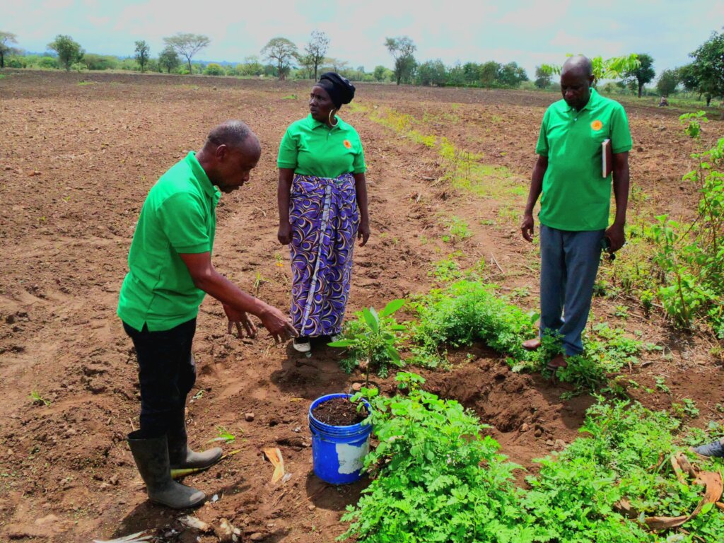 Nourish Tanzania:Fertile Soil, Flourishing Future!