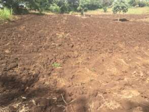 Land, ready to sow again.