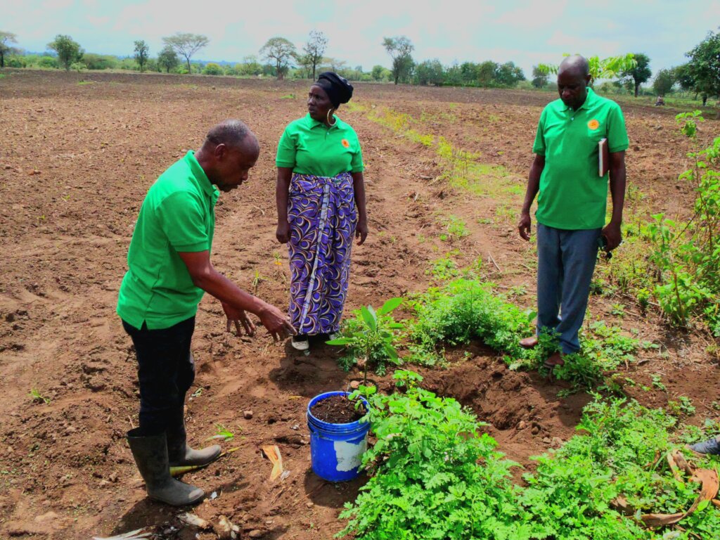 Nourish Tanzania:Fertile Soil, Flourishing Future!