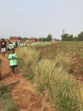Everybody joined for communal reforestation