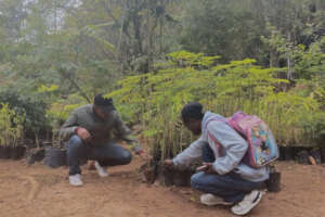 At the National Forestry Center