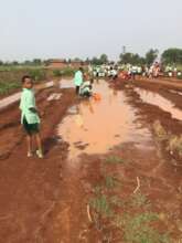 Rain water for the seedlings