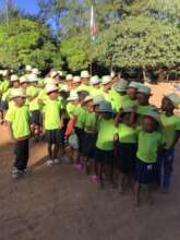 Green thirts = reforestation