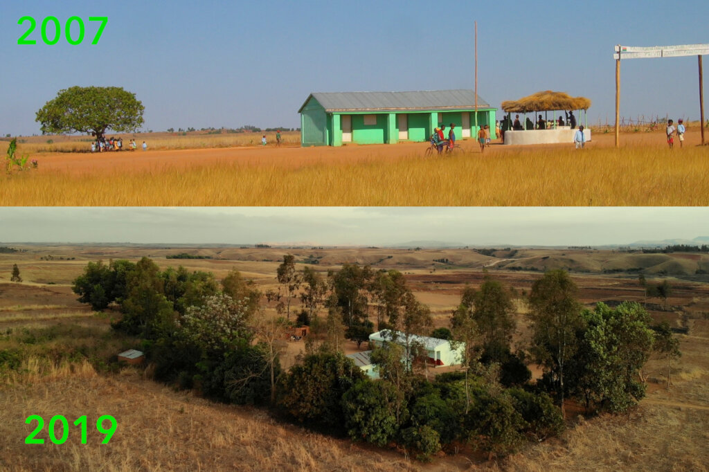Reforestation 2.0 in our villages in Madagascar