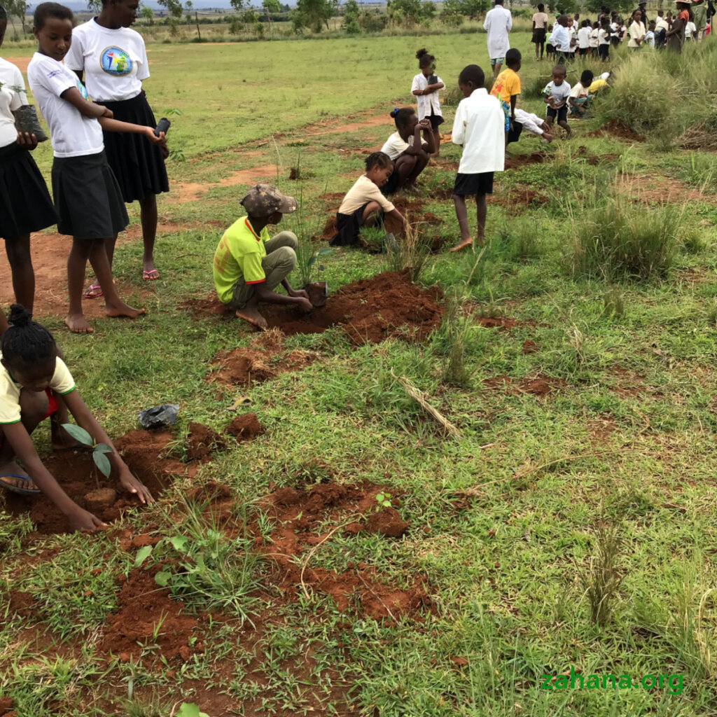 Reforestation 2.0 in our villages in Madagascar