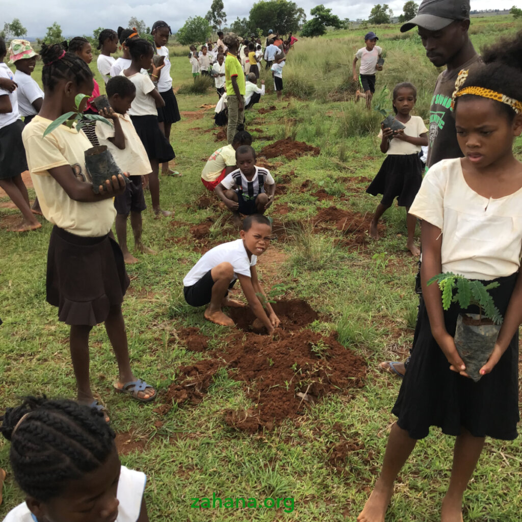 Reforestation 2.0 in our villages in Madagascar