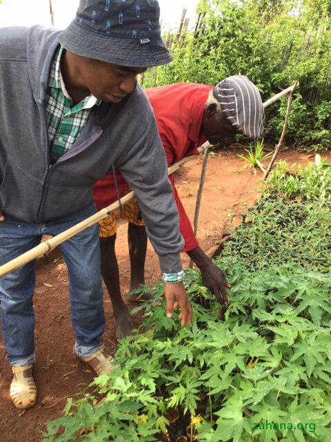 Reforestation 2.0 in our villages in Madagascar
