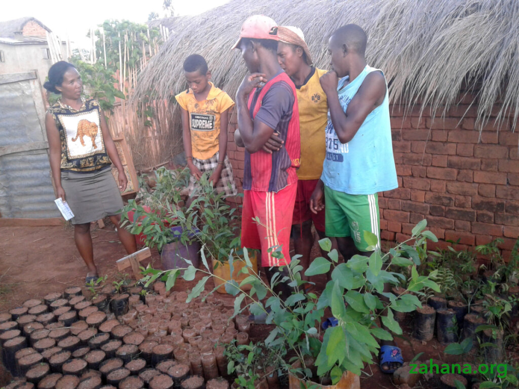 Reforestation 2.0 in our villages in Madagascar