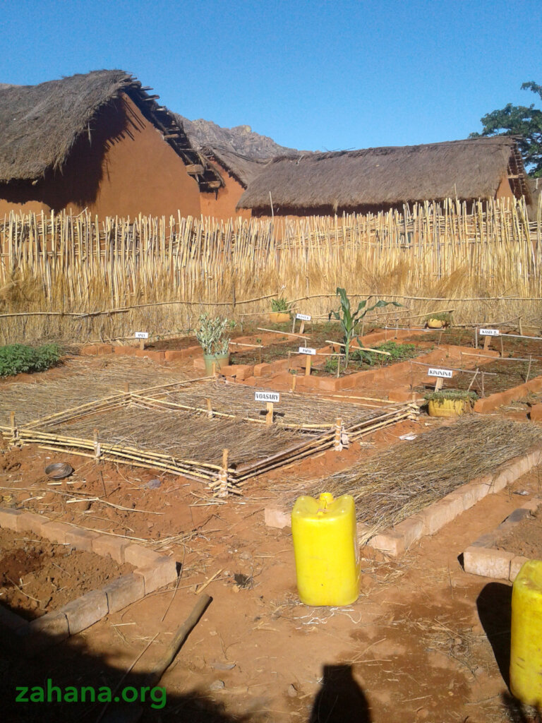 Reforestation 2.0 in our villages in Madagascar