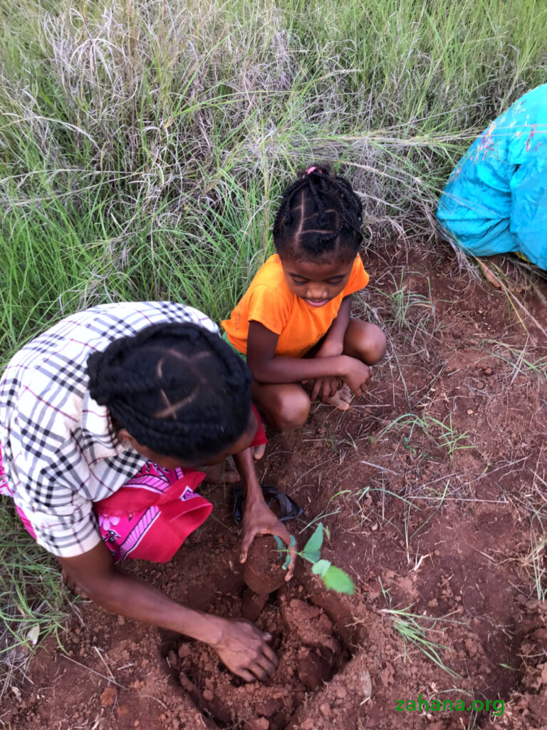Reforestation 2.0 in our villages in Madagascar