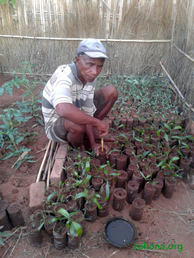 Reforestation 2.0 in our villages in Madagascar