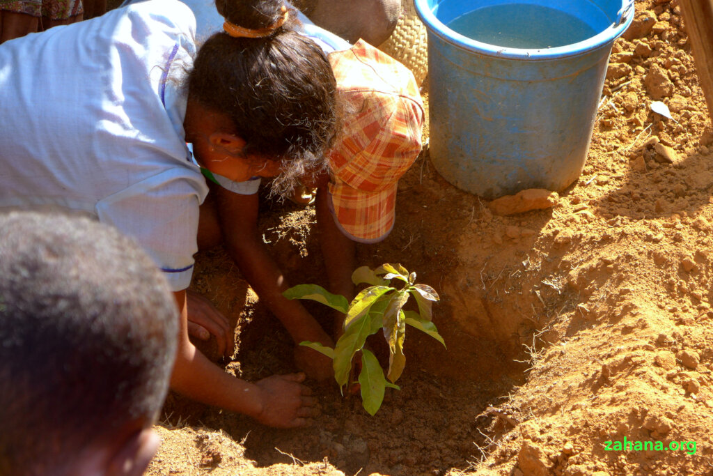 Reforestation 2.0 in our villages in Madagascar