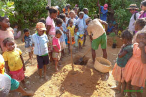 Planting fruit trees in the school yard