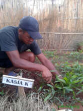Zahana gardener chckinh his seedlings