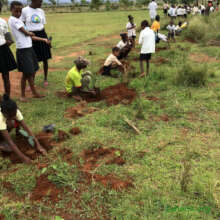 Reforestation day