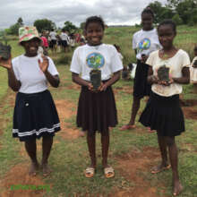 Seedlings