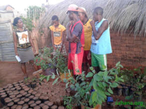 Showing the tree nursery to a visitor