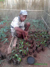 Zahana gardener in his element
