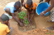 Reforestation 2.0 in our villages in Madagascar