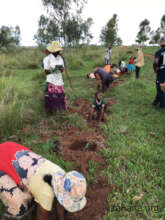 Community reforestation 2025