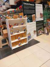 Environmental Fair StandTitan Shopping Center
