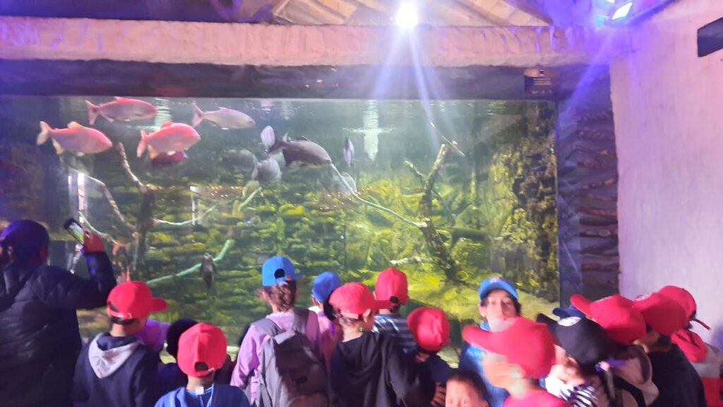 Support 700 Kids in Colombia with Care and Hope