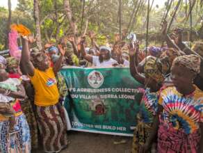 Impact Women's Agribusiness Collective