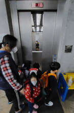 Preschoolers are taking the elevator