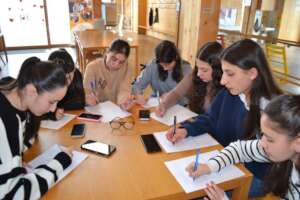 Skill-building phase mentees