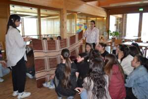 Mentor-mentee group meeting