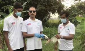 Releasing bird after rescuing