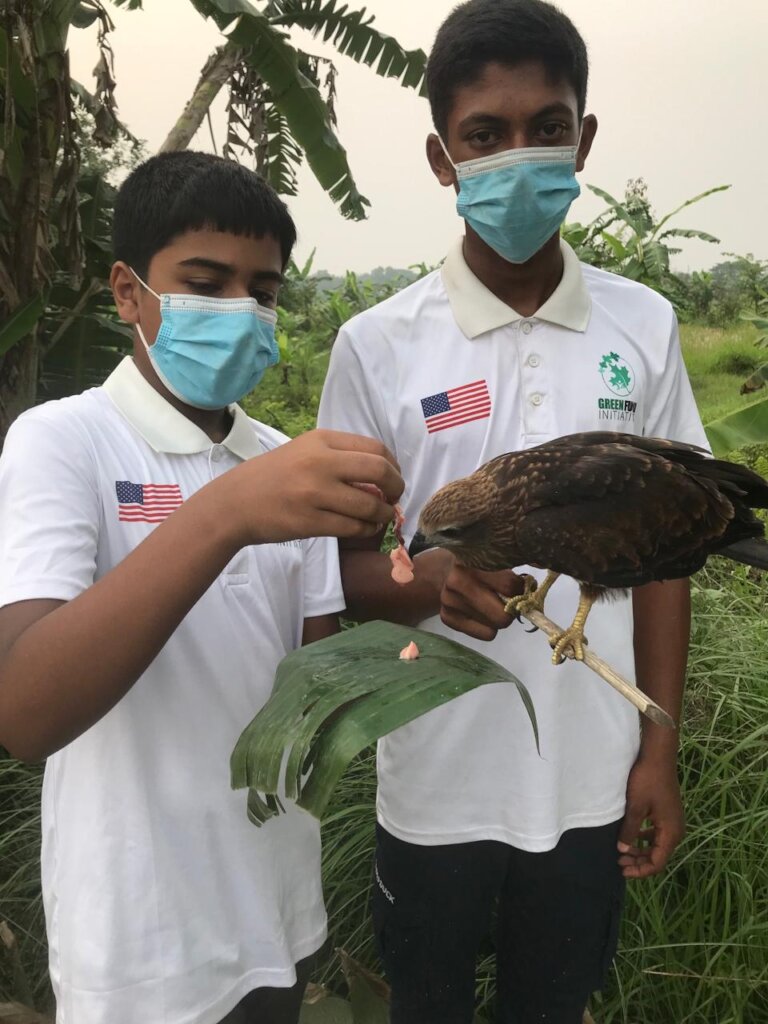 Save Innocent Birds Trapped in Deadly Nets