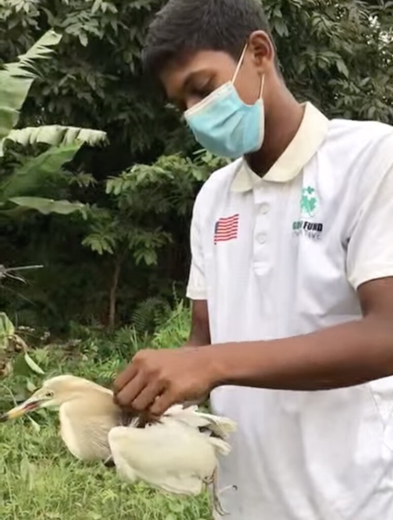 Save Innocent Birds Trapped in Deadly Nets
