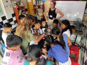 exploring different liquids in science class