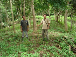 Plantation area. Roberto Lamego and helper