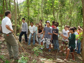 Visiting a new formed forest