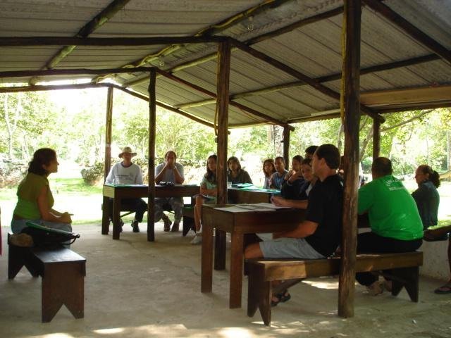 Protect Rainforest With Sustainable Practices
