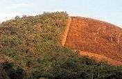 Protect Rainforest With Sustainable Practices