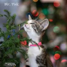 Mr. Pink wishing you a happy holiday!