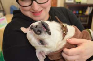 Volunteer love 2